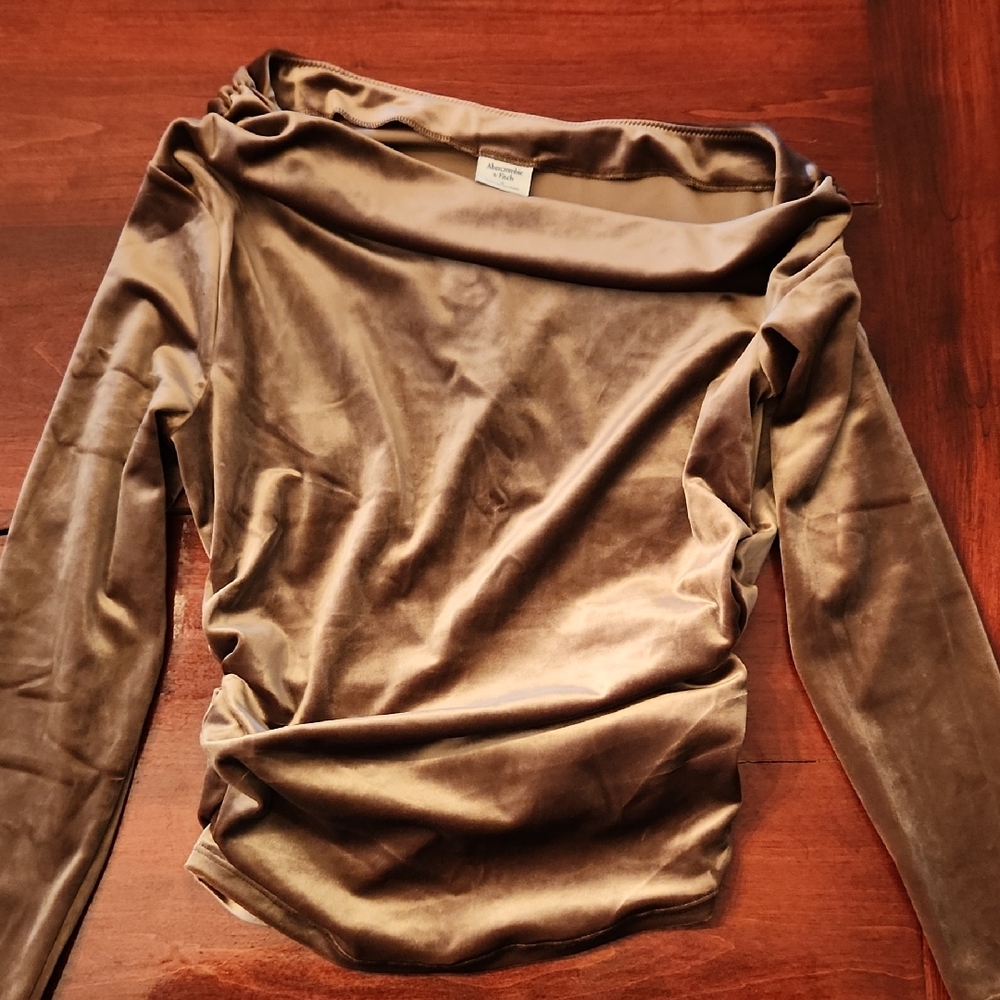 Abercrombie & Fitch Tan Velvet Women's Blouse